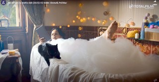 Jitka Cvancarová feet photo 11