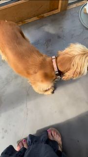 Jo Joyner feet photo thumbnail