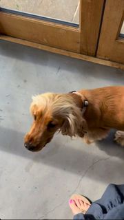 Jo Joyner feet photo thumbnail