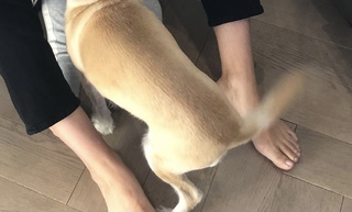 Jo Ling Kent feet photo 3