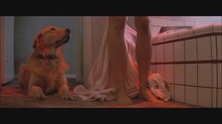 JoBeth Williams feet photo thumbnail