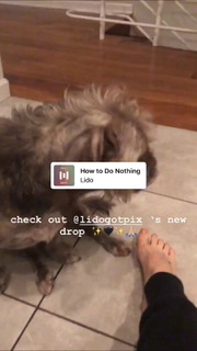 JoJo feet photo thumbnail