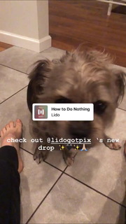 JoJo feet photo thumbnail