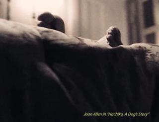 Joan Allen feet photo thumbnail