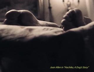 Joan Allen feet photo thumbnail