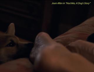 Joan Allen feet photo thumbnail