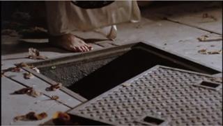 Joan Collins feet photo thumbnail