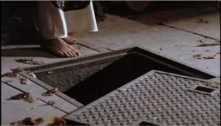Joan Collins feet photo thumbnail