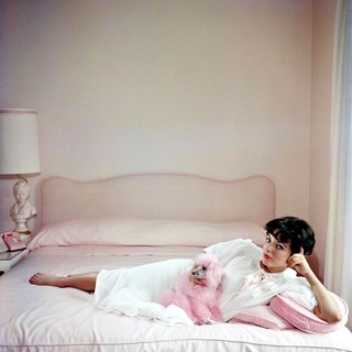 Joan Collins feet photo thumbnail