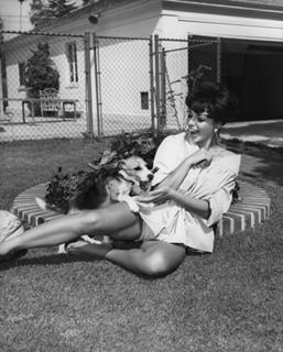 Joan Collins feet photo thumbnail