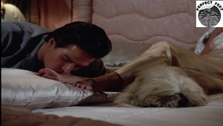 Joan Collins feet photo thumbnail