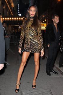 Joan Smalls feet photo thumbnail