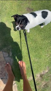 Joana Balaguer feet photo 20