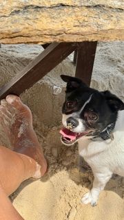 Joana Balaguer feet photo 19