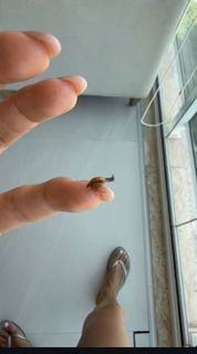 Joana Balaguer feet photo 11