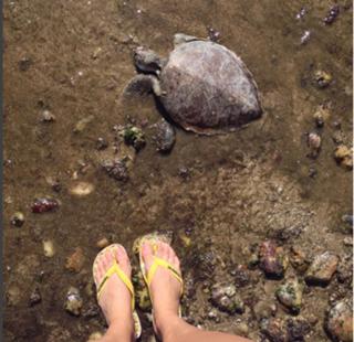 Joana Machado feet photo 5