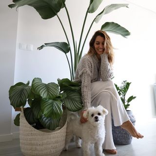 Joana Teles feet photo 14