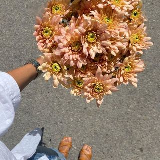 Joana Teles feet photo 3