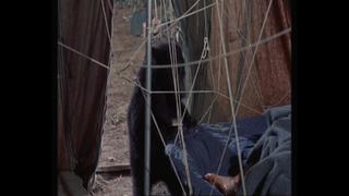 Joanna Barnes feet photo 8