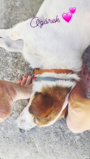 Joanna Jablczynska feet photo thumbnail