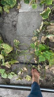 Joanna Jablczynska feet photo 4