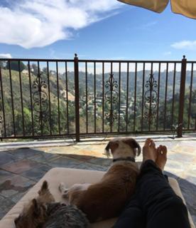 Joanna Krupa feet photo thumbnail
