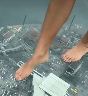 Joanna Moro feet photo 11