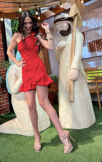 Joanna Vega-Biestro feet photo 4