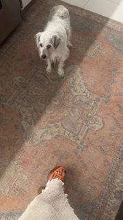 Joanne Mosconi feet photo 16
