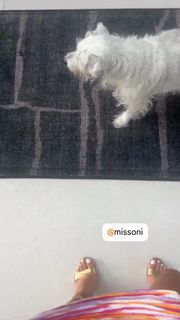Joanne Mosconi feet photo 13