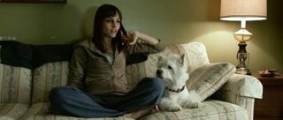 Jocelin Donahue feet photo 1