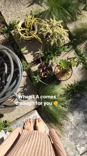 Jodi Balfour feet photo 6