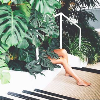 Jodi Balfour feet photo 3