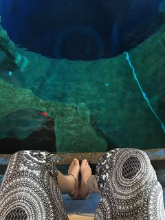 Jodie Calussi feet photo 16