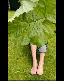 Joely Richardson feet photo thumbnail