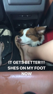 Joey King feet photo thumbnail