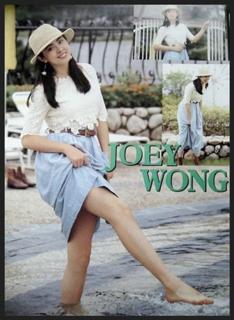 Joey Wang feet photo 10