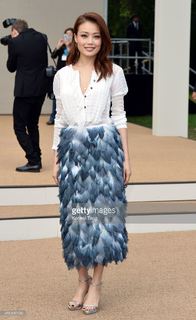 Joey Yung feet photo 7