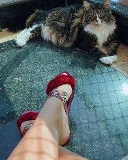 Joice Hasselmann feet photo 1