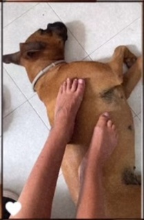 Jolanda V. De Rienzo feet photo 9