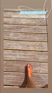 Jolanda V. De Rienzo feet photo 16
