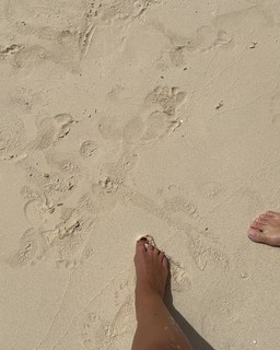 Jolanda V. De Rienzo feet photo 3