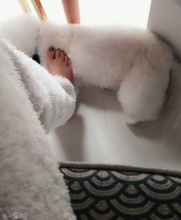 Jolin Tsai feet photo 19