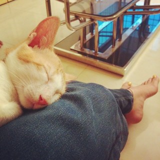 Jonita Gandhi feet photo 16