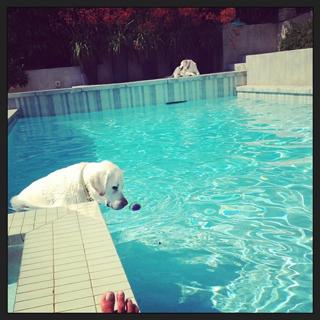 Jordana Brewster feet photo thumbnail