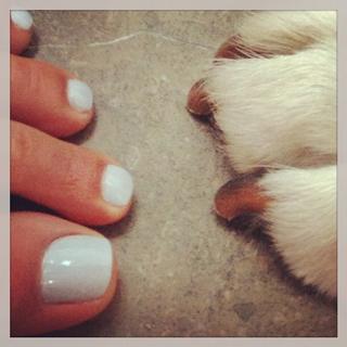 Jordana Brewster feet photo thumbnail