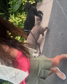 Jordana Brewster feet photo thumbnail