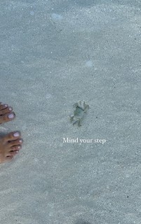 Jori Delli feet photo 14