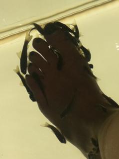 Josephine Bornebusch feet photo 4