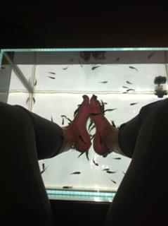 Josephine Bornebusch feet photo 3